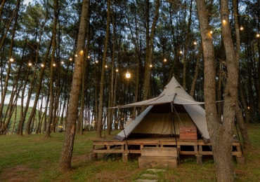GREEN PINE CAMP – một địa điểm cắm trại mới nhất Ninh Bình