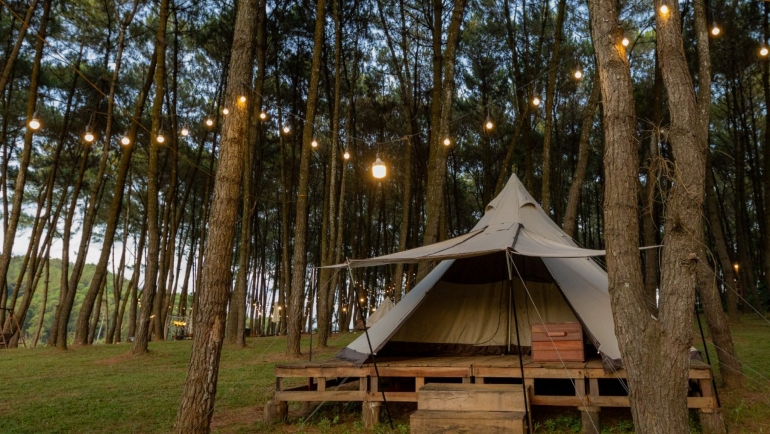 GREEN PINE CAMP: Địa điểm cắm trại mới tại tỉnh Ninh Bình