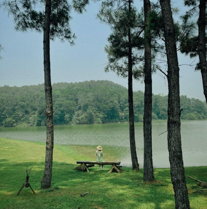Khung cảnh khu cắm trại Green Pine Camp bên hồ Đồng Chương